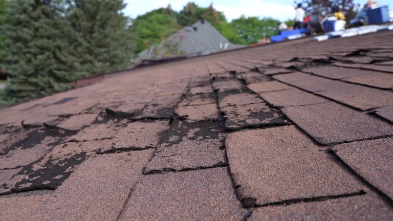Best Roof Ventilation Installation  in Forest, VA