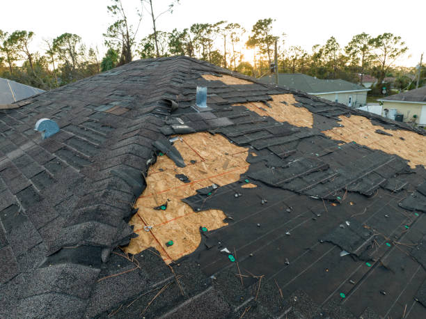 Best Asphalt Shingles Roofing  in Forest, VA