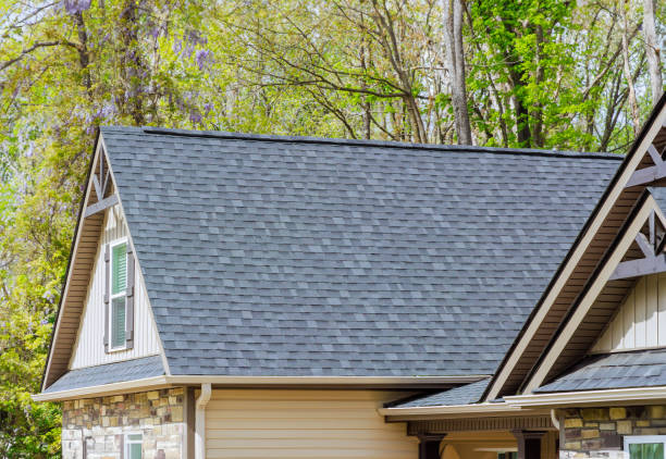 Best Roof Replacement  in Forest, VA